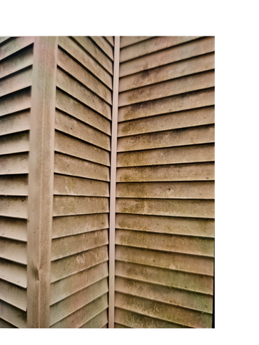 Close-up of weathered, dirty beige siding on a building corner.
