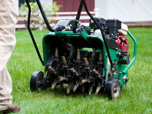 Billygoat aerator that is 24" wide aerating a lawn to allow moisture, sunglight and nutrients.