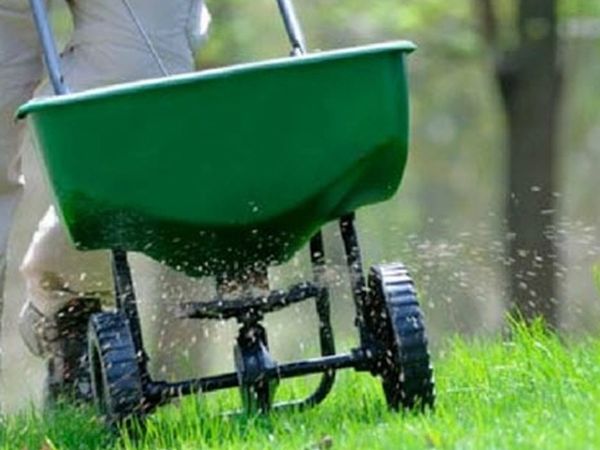 Overseeding and Fertilization for a lawn adds nutrients and allows the turf and soil to regenerate.
