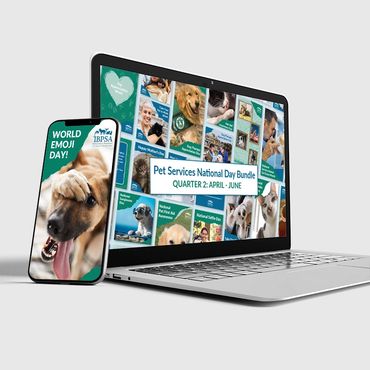 Social media graphic examples for pet company shown on a phone and laptop.