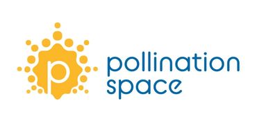 Pollination space logo with bursting star p graphic