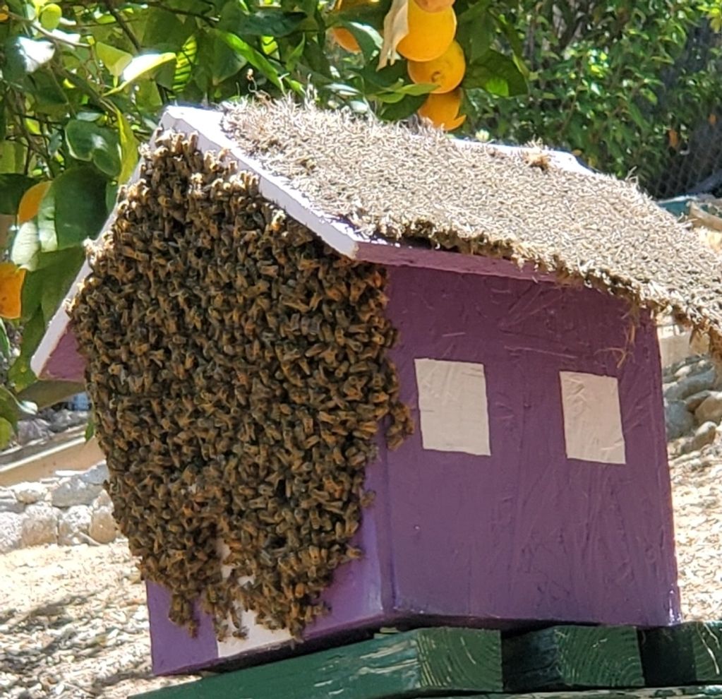 Bee-utiful Cozy Cottage available