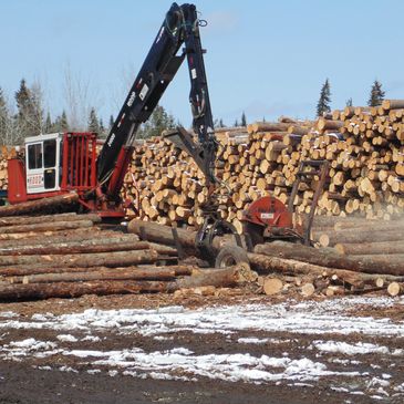 Sawmill or Log Buyer 
