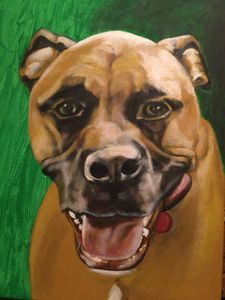 Family pet portrait.