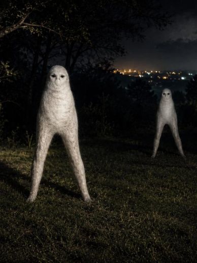 Two eerie owl-like creatures with long legs stand in a dark forest at night.