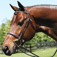 Hunter Bridle