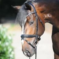 Dressage Bridle