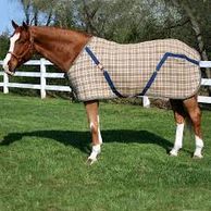 Horse Blankets & Sheets