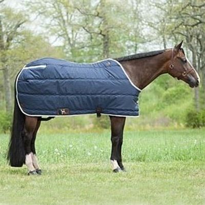 Winter Horse Blankets