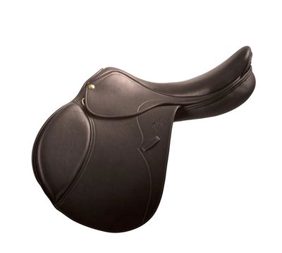 Saddle Fitting