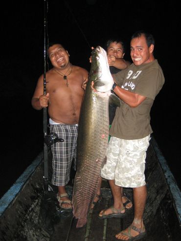 Arapaima catch, river fishing trip, ecuador