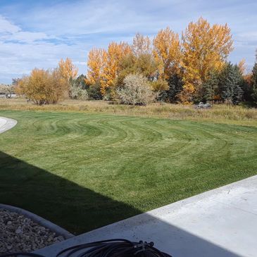curved mow lines