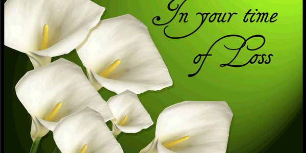 White calla lilies with a green background and sympathy message.