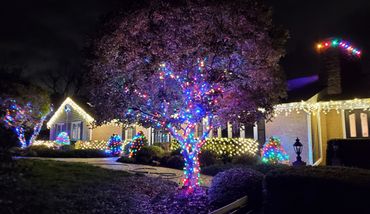 House and trees decorated with colorful Christmas lights at night.