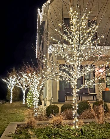 Trees wrapped in white holiday lights outside a house at night.