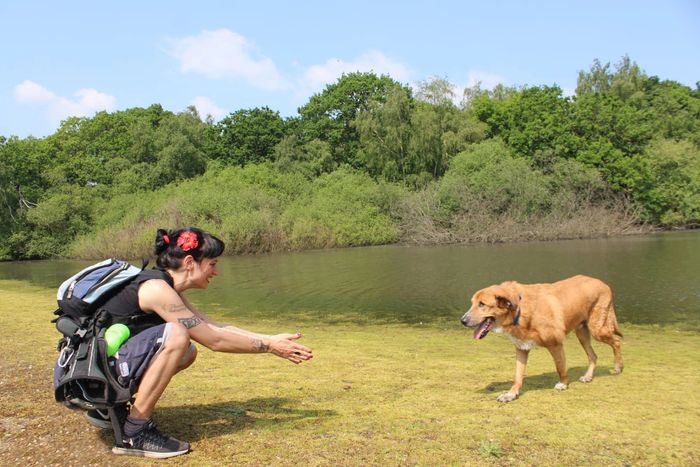 Uli doing a perfect recall, owner waiting for him with open arms. Happiness! Reliable dog training