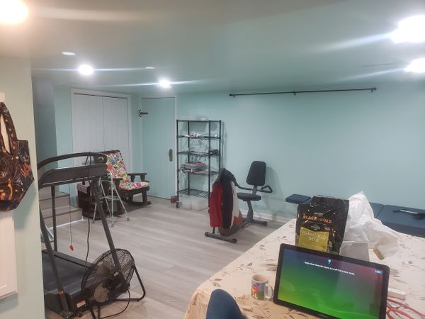 Basement Renovation, Progress Picture, New Vinyl Flooring, Closet, Doors, Paint, Lights