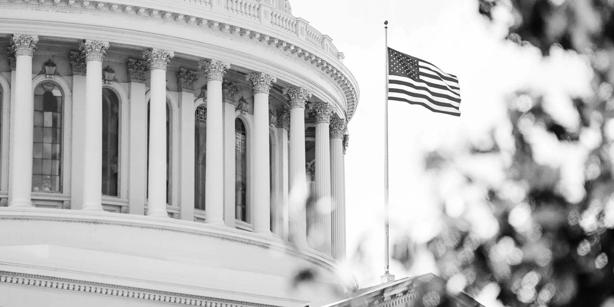 US Capitol building with flag on flag pole.