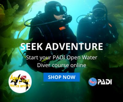 Divers learning how to dive