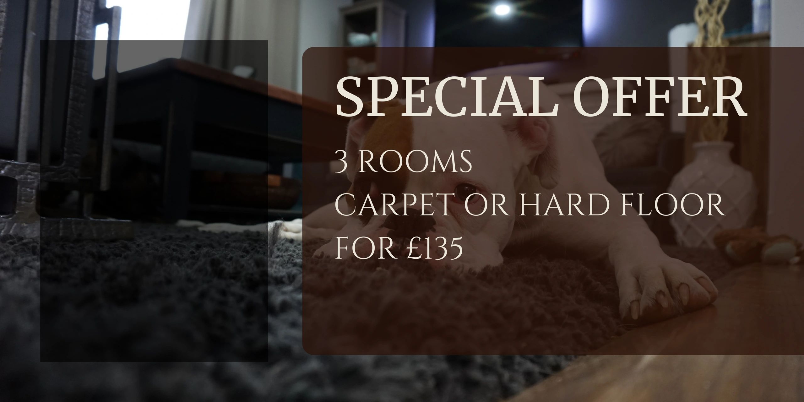 CARPET CLEANING OFFER NEWCASTLE