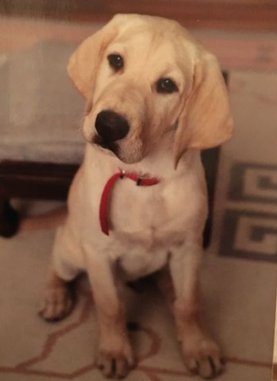 The snapshot that inspired a book cover.