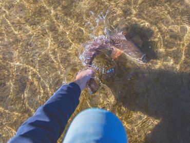 Shallow water redfish release off 30A