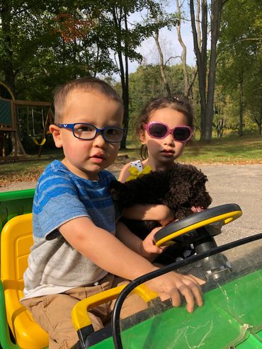 Kids riding in a jeep with a dog.