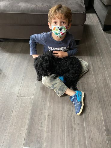 Boy playing with puppy.