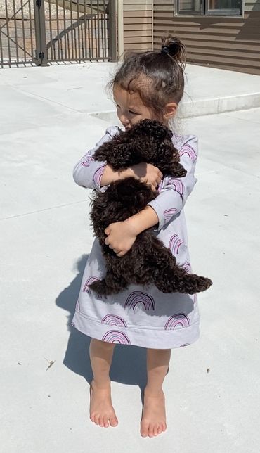 Little girl holding puppy.