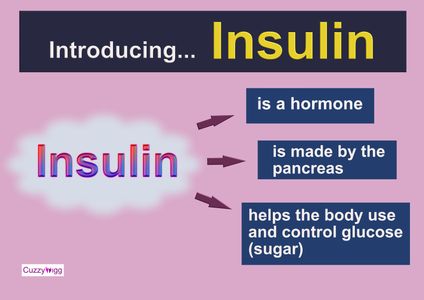Insulin. Cuzzywigg Lifestyle.