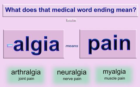 Cuzzywigg - Lifestyle Magazine - Medical Jargon - Pain