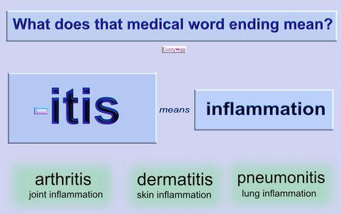 Cuzzywigg - Lifestyle Magazine
- Medical Jargon - Inflammation