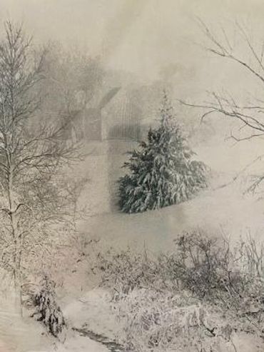 Snowy landscape with trees and snow