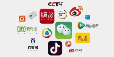 Chinese Social Media Platforms