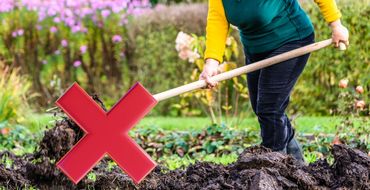 Person gardening, red X mark over the soil.