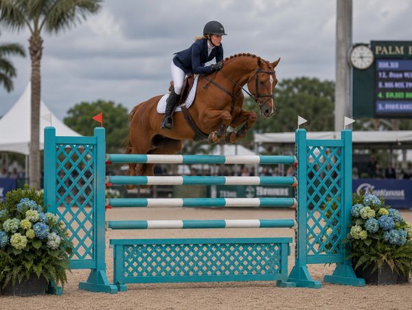 Rider and horse gracefully jumping over an obstacle in an equestrian competition.