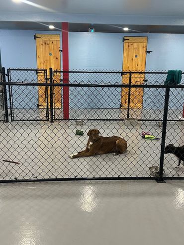 Interior safe play space