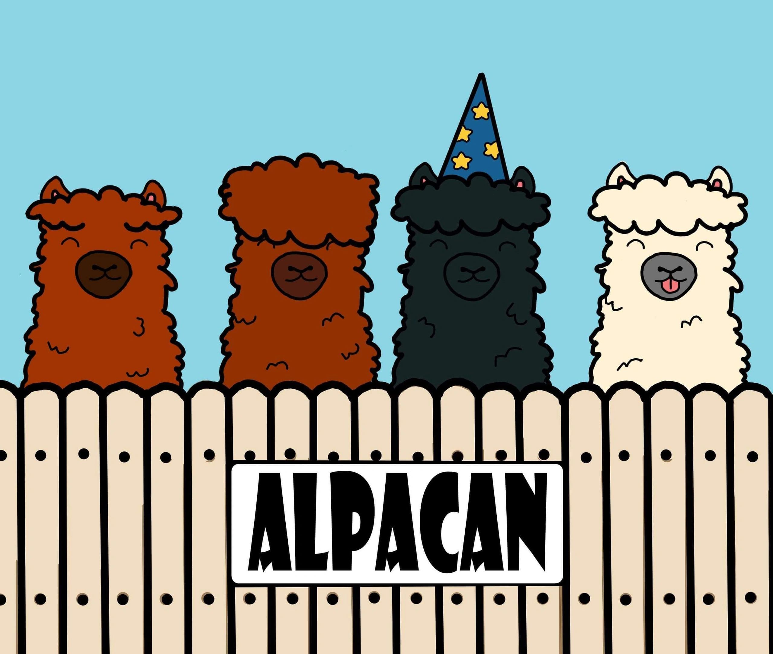 We now offer Gift Vouchers, so please get in touch if you wish to buy the perfect present for friend