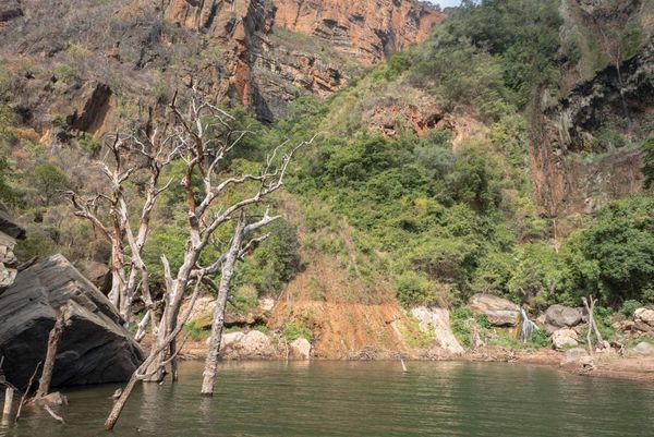 Landscape Cape Vulture Lodge