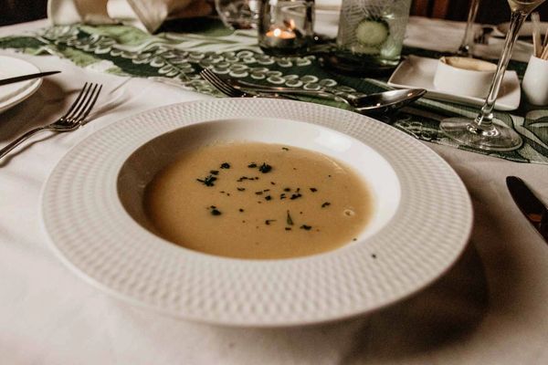 Food Cape Vulture Lodge