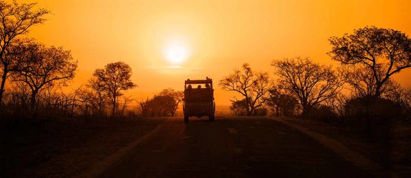 Game Drives Cape Vulture Lodge
