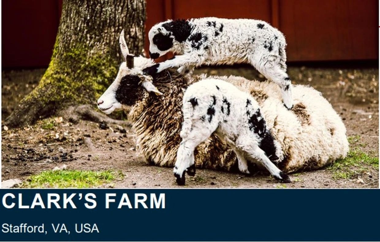 Clark's Farm IoT Business Case. https://sigflow.com