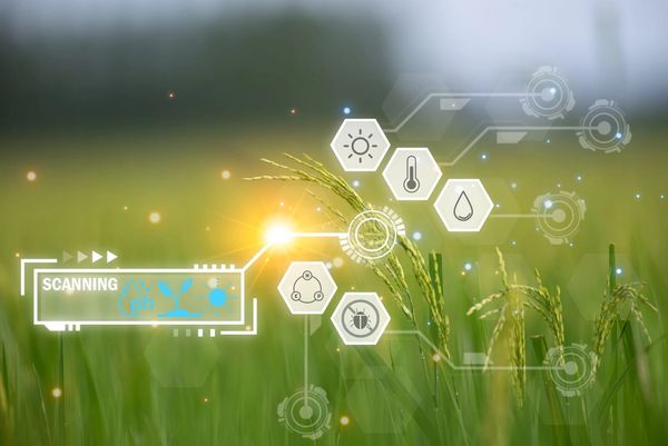 Digital agriculture scanning crops with environmental and pest monitoring icons.