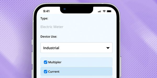 Mobile screen showing customizable settings for an electric meter device.