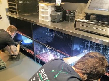 Two pest control workers inspecting under a bar counter with flashlights.