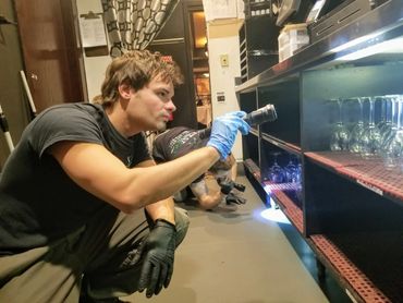 Two men inspecting shelves with flashlights, wearing gloves.