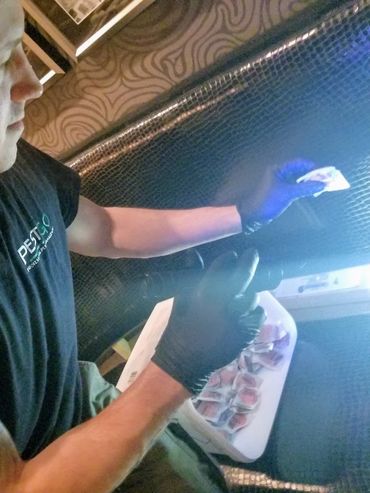 Man wearing gloves inspecting a surface with a light source.