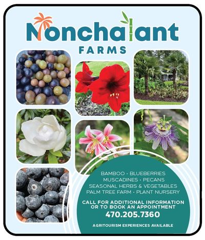 nonchalant nursery local produce Covington exclusive coupons and savings in Covington only HERE