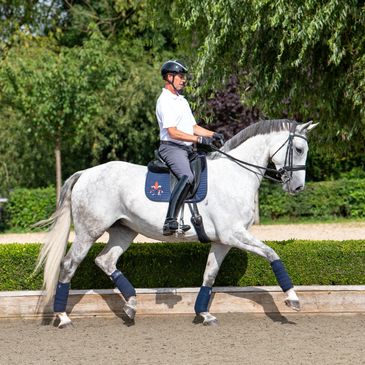 Carl Hester riding a dressage horse