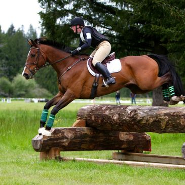 Horse and Rider performing cross country eventing.